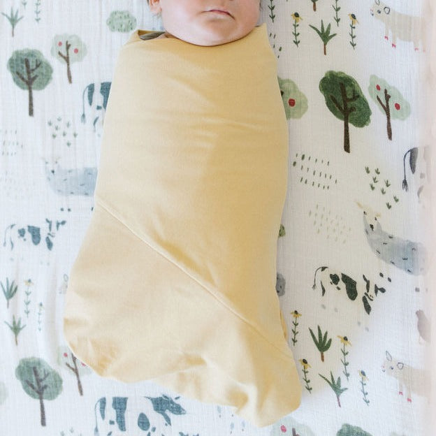 Organic Pre-folded Swaddle  - Daffodil