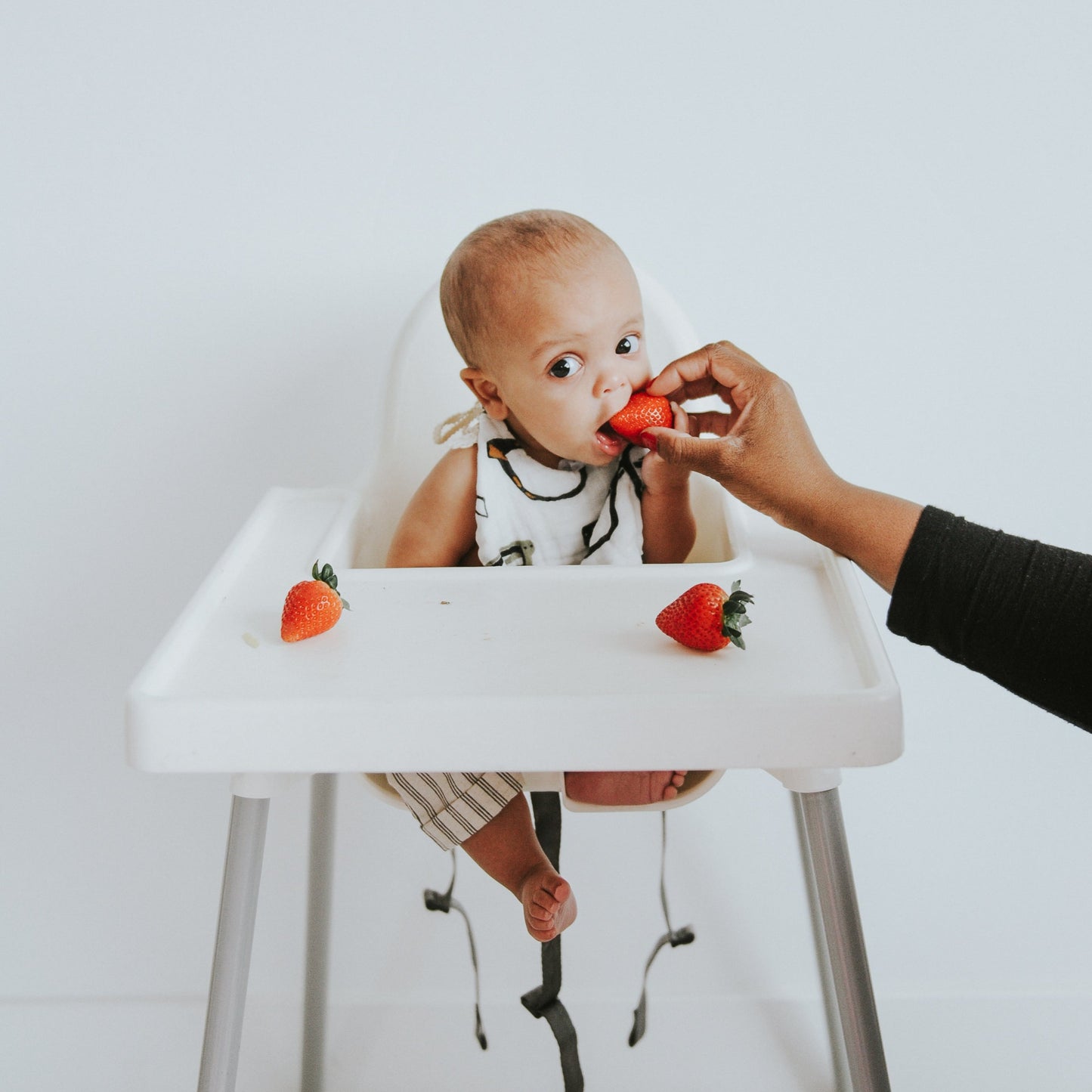 Zoology and Specs Bib Pack