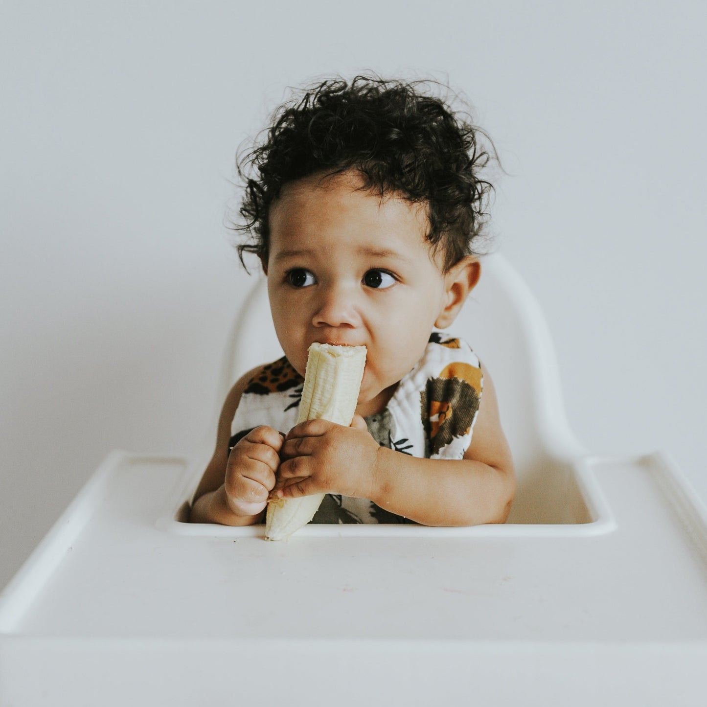 Zoology and Specs Bib Pack