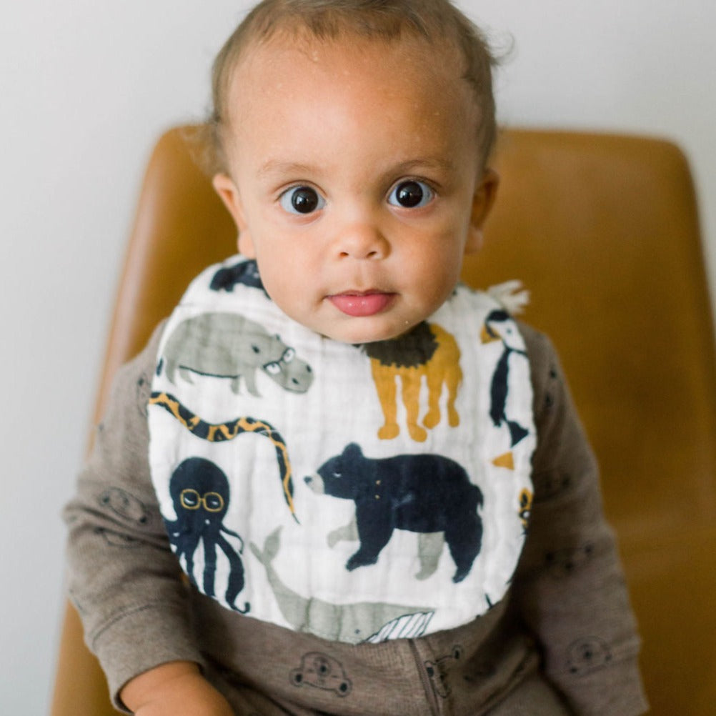 Zoology and Specs Bib Pack