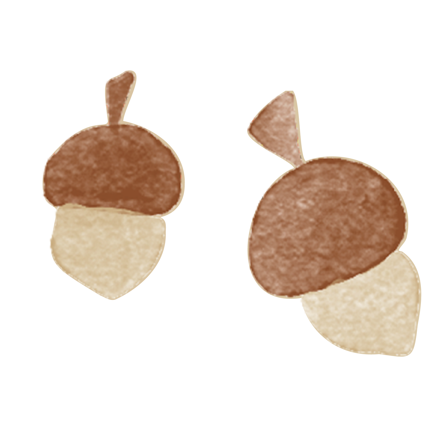 Acorn Wall Decals