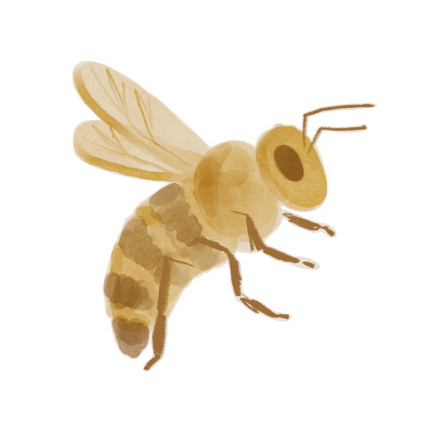 Busy Bee Wall Decals
