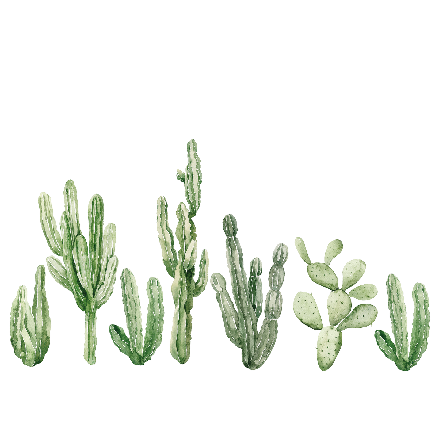 Desert Cacti Wall Decal Set