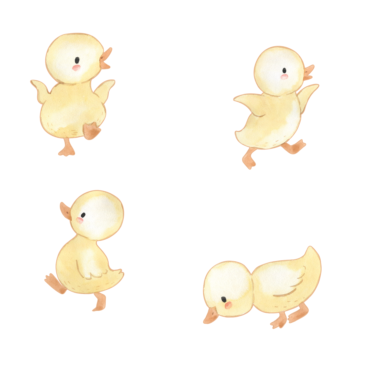 Ducklings Wall Decals