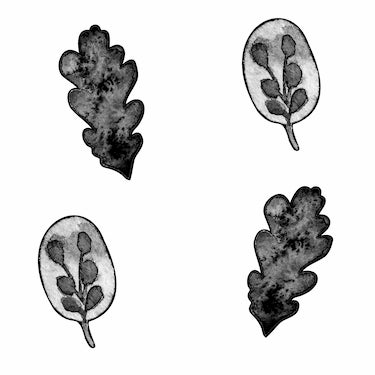 Black Botanical Leaves Wall Decals