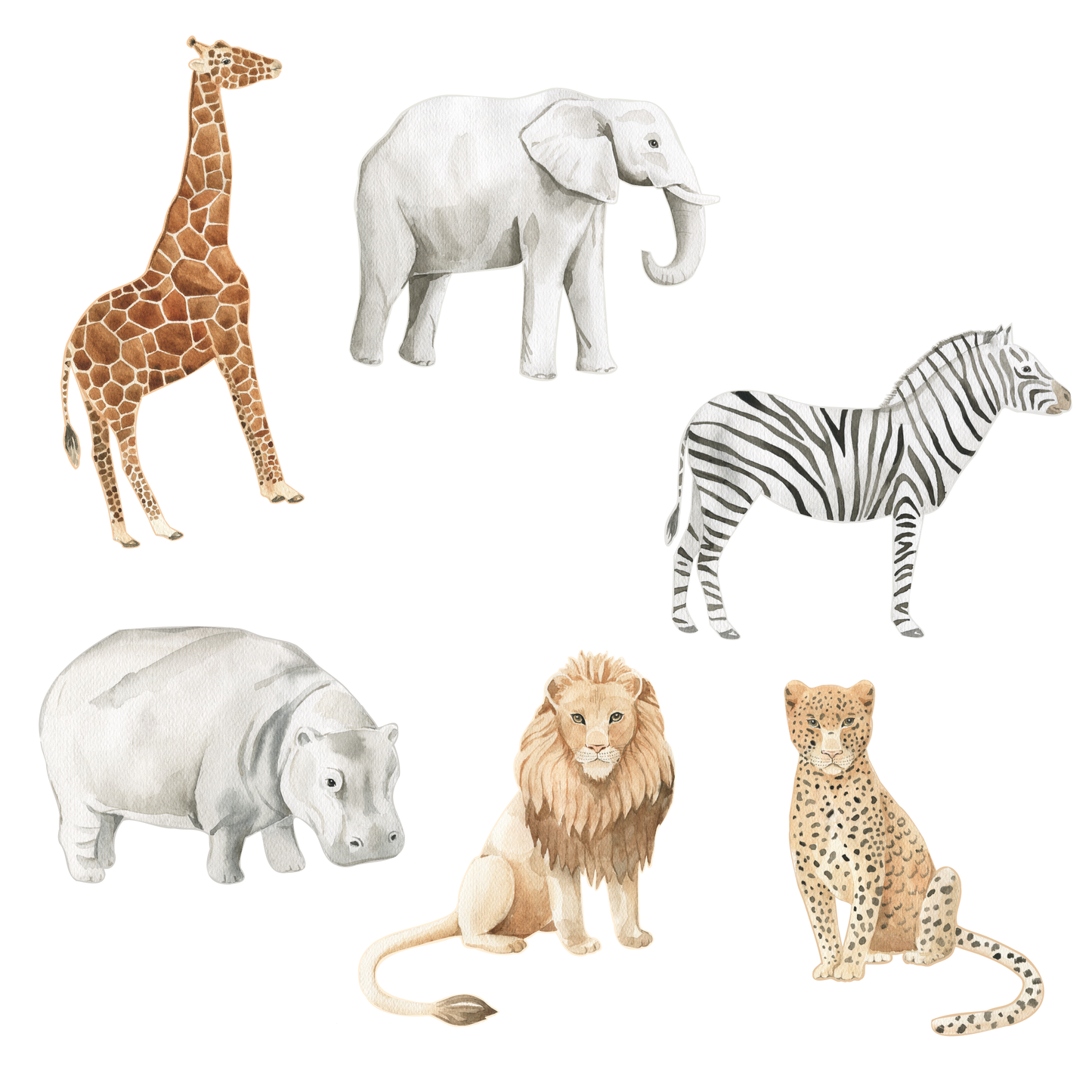 Jungle Animals Wall Decals