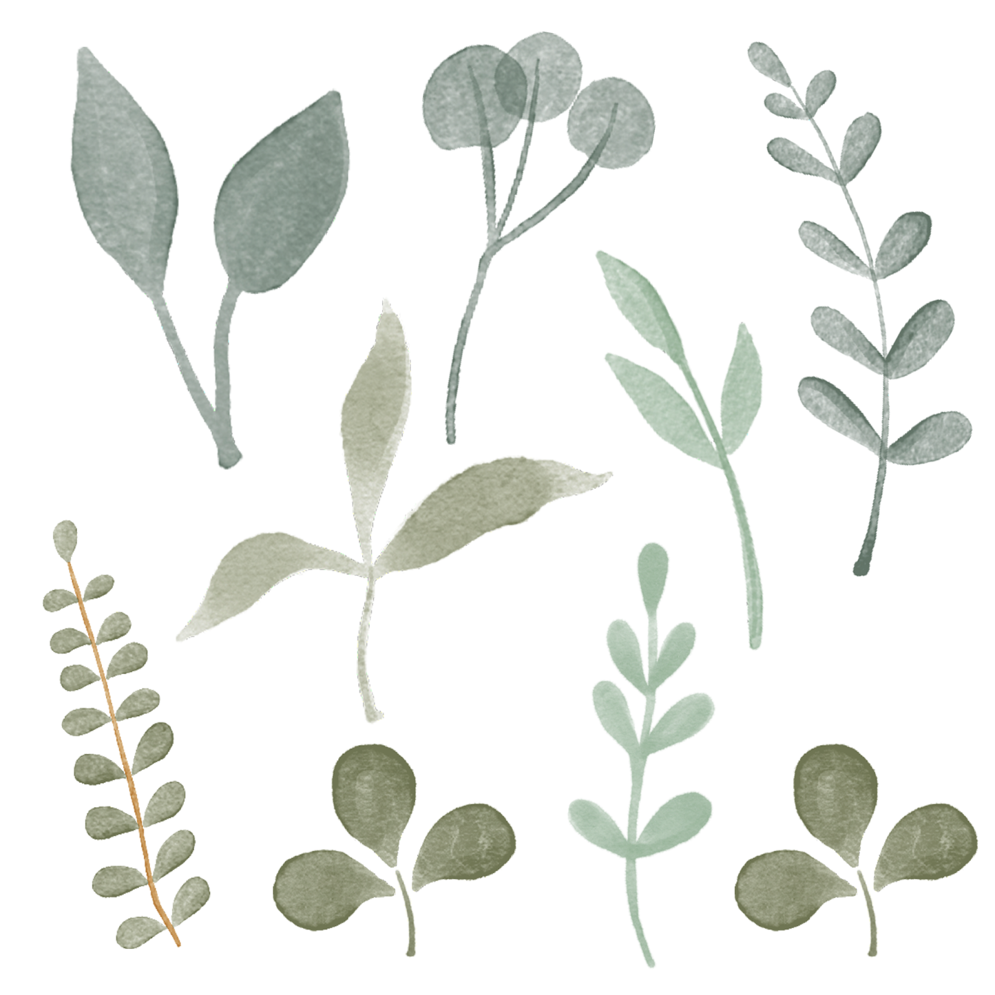 Watercolor Leaves Wall Decals