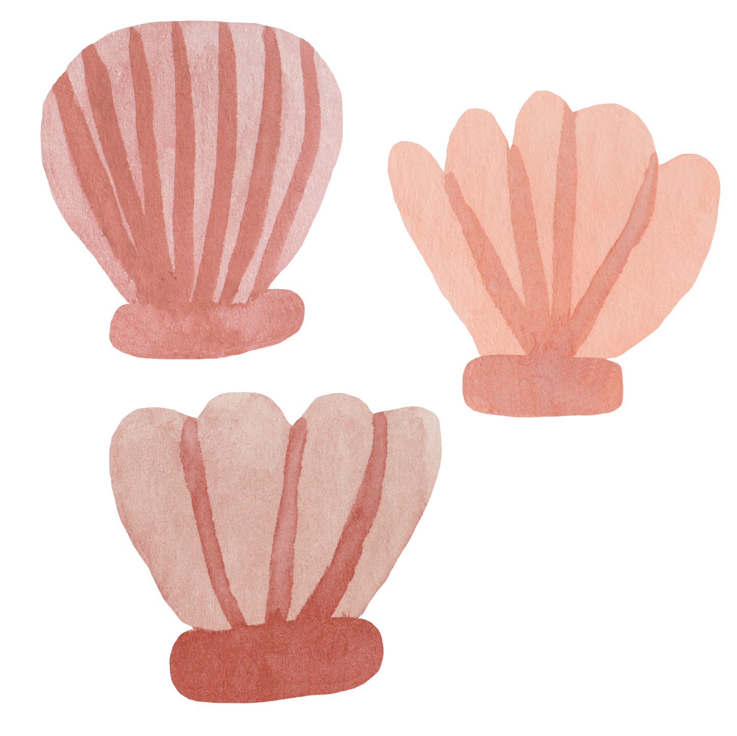 Watercolor Shell Wall Decals