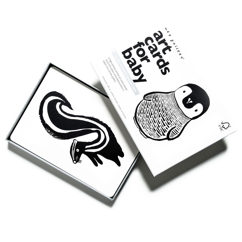 Art Cards for Baby - Black and White Collection