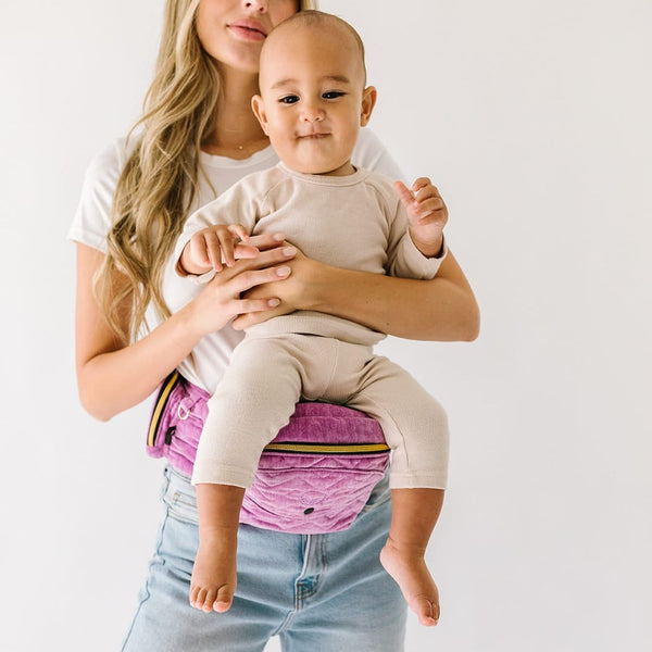 Tushbaby Hipseat Carrier & Diaper Bag