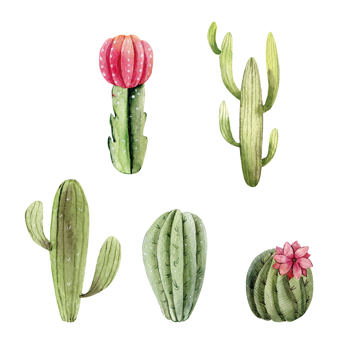 Pink Moon Cacti Wall Decals