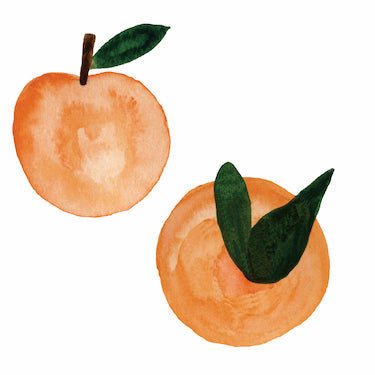 Peachey Wall Decals