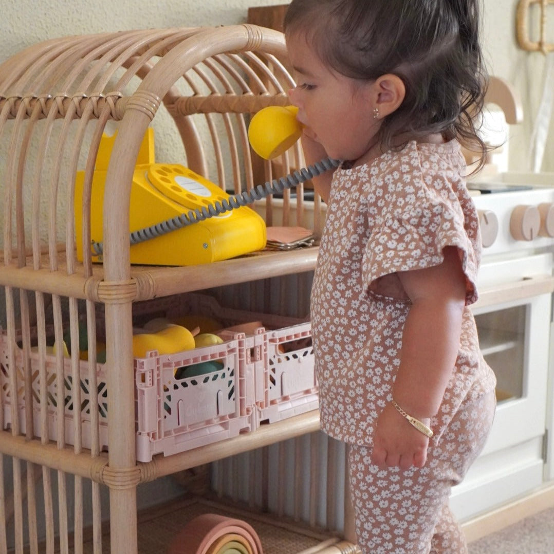 Children's Rattan Toy Shelf